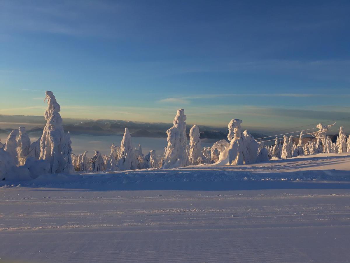 Chata Stred Kubinska Hola Dolny Kubin Esterno foto